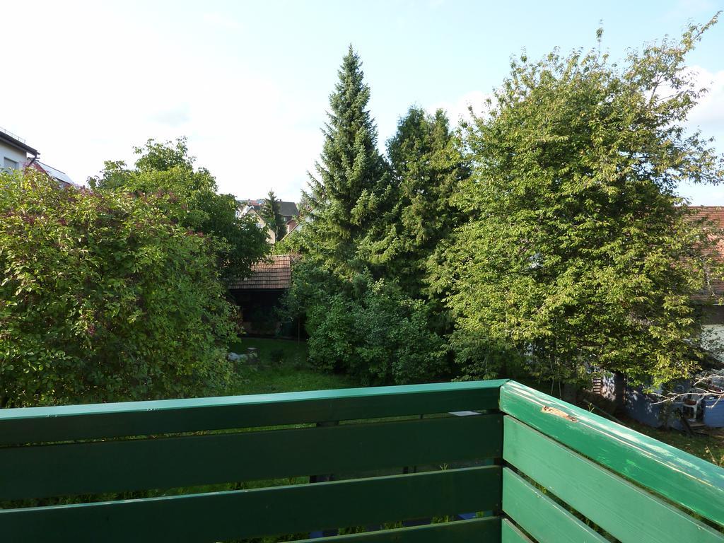 Schwarzwald Light Apartment Freudenstadt Exterior photo